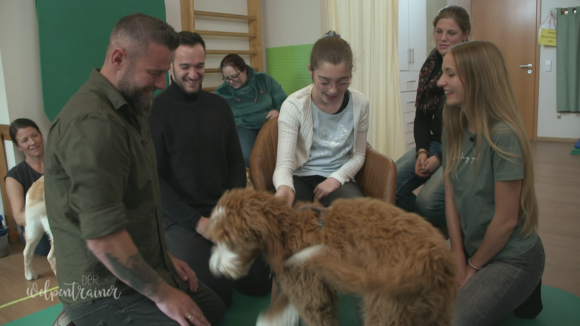 Die Welpenklasse zu Besuch bei Therapiebegleithunden